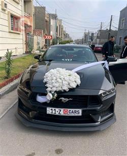 فورد موستانج